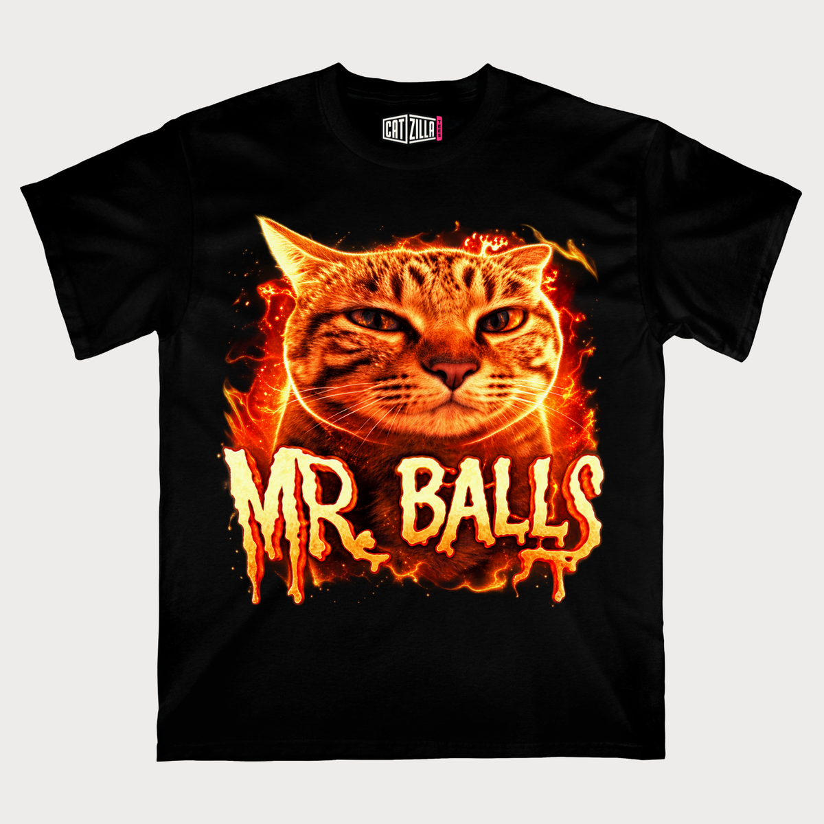 Mr. Balls Funny Cat T-Shirt