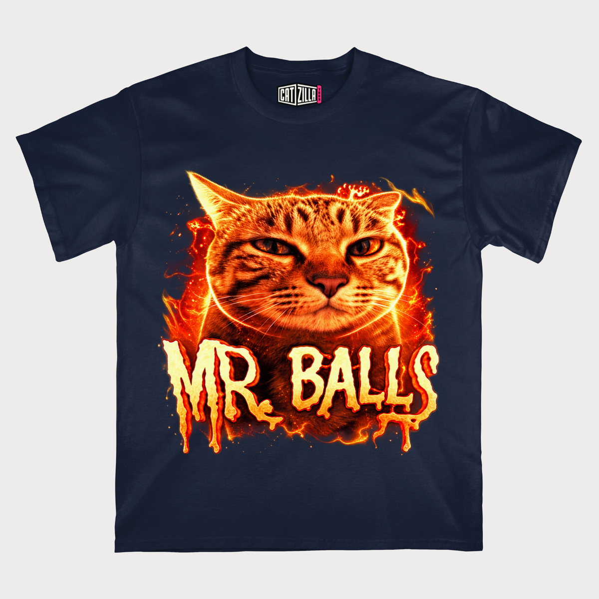 Mr. Balls Funny Cat T-Shirt